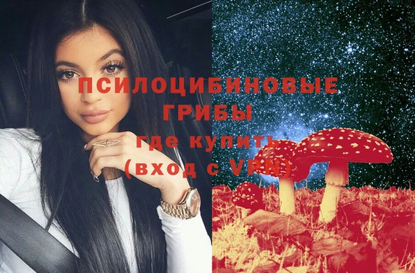 спиды Алзамай