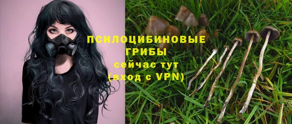 синтетический гашиш Алексин