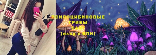 синтетический гашиш Алексин