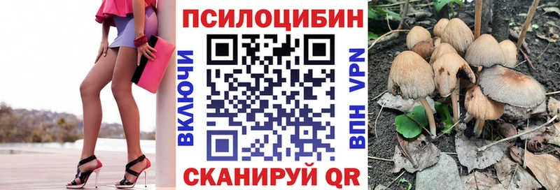 Галлюциногенные грибы Cubensis  Себеж 